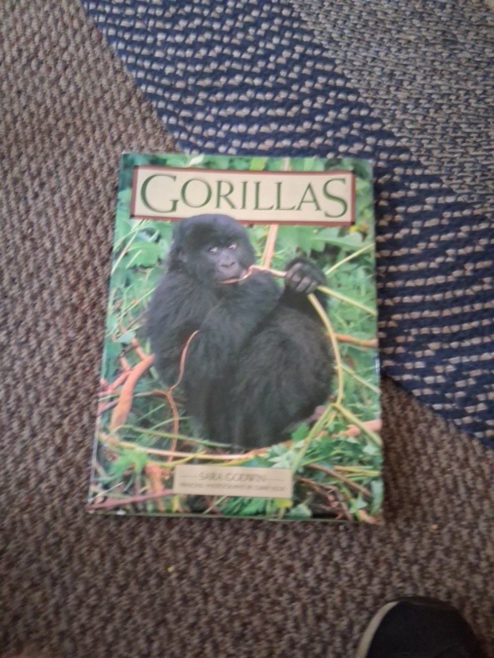 GORILLAS Hardcover Picture Book - Black & Green Cover 1990 Vintage